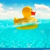 Team Page: Resource Runners